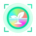 智能识图最新版