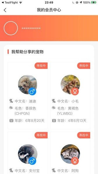 爱宠守护者正版