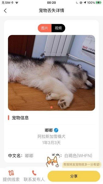 爱宠守护者正版
