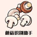蘑菇识别助手手机版