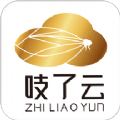吱了云手机最新版