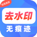 去水印Pro王通用版