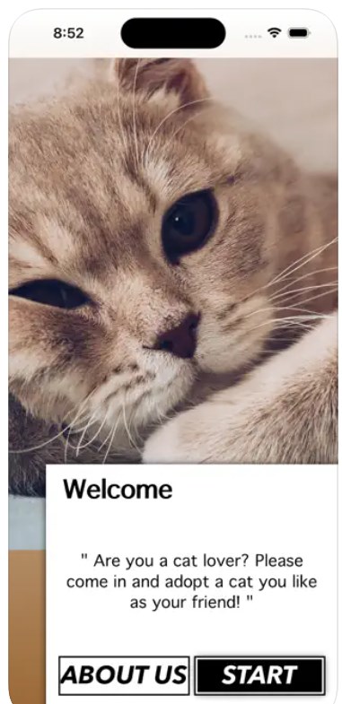 爱猫物语宠物店中文正版图1