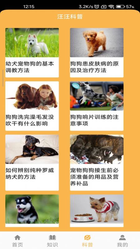 旺旺历险记最新版