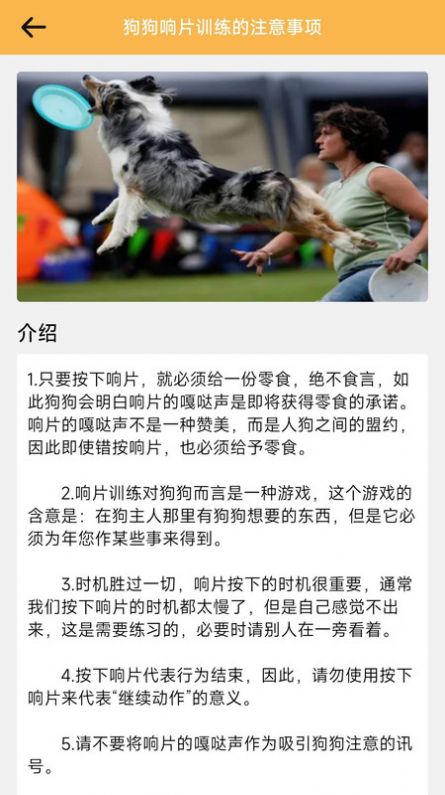 旺旺历险记最新版