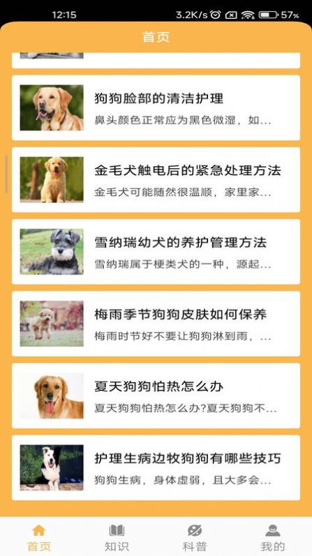 旺旺历险记最新版
