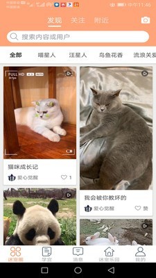 迷宠圈原版