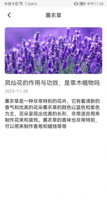 花卉识别图鉴无广告版图2