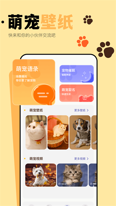 猫咪聊天翻译器免费原版