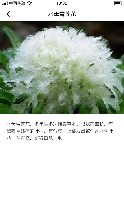 云鼎雪莲手机最新版图2