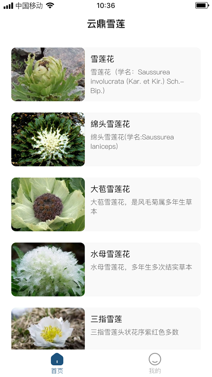 云鼎雪莲手机最新版图3