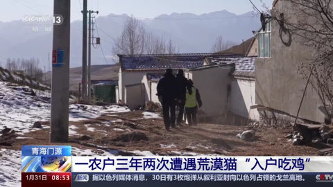 高清TV免费版图3
