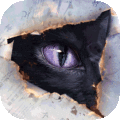 黑猫奇闻社无广告版