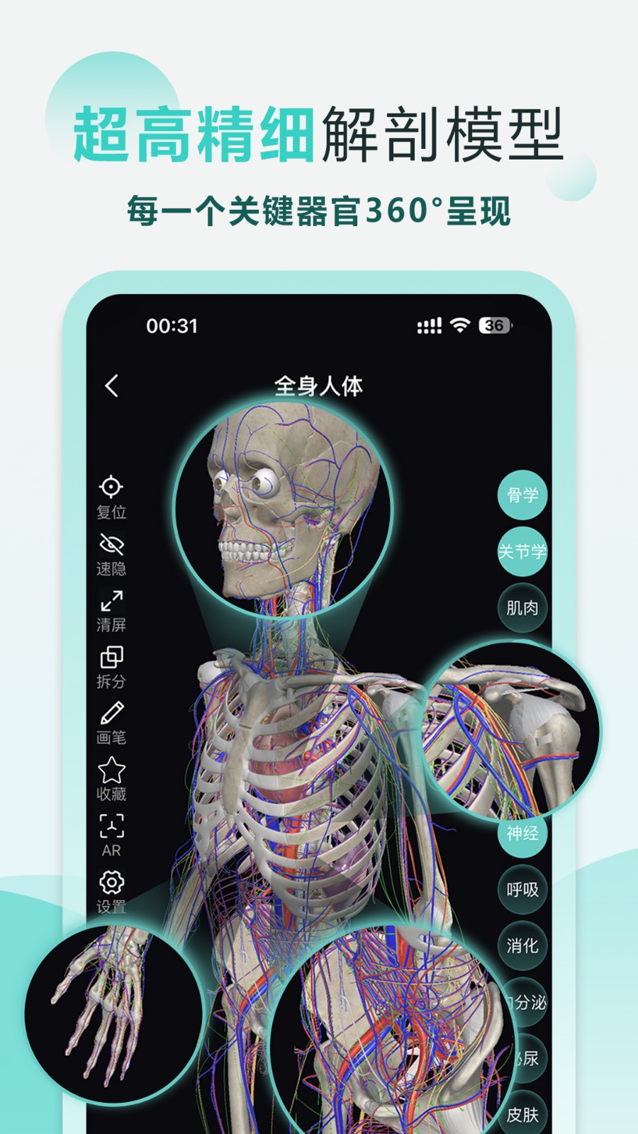 掌上3D解剖手机最新版