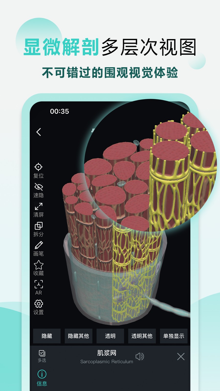 掌上3D解剖手机最新版