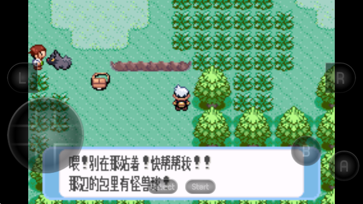 口袋妖怪蓝宝石GBA最新版图4