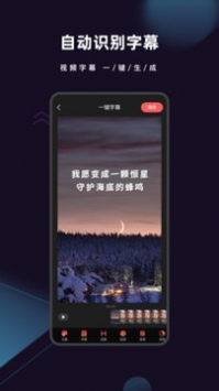爱字幕2026原版图3
