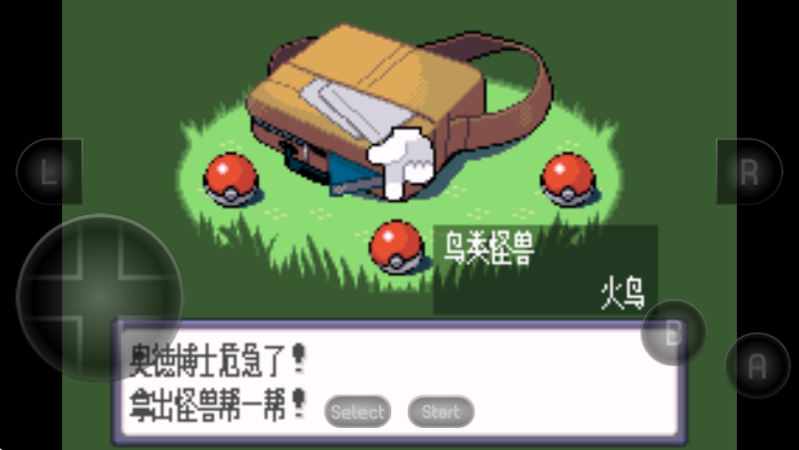 口袋妖怪蓝宝石GBA最新版图1