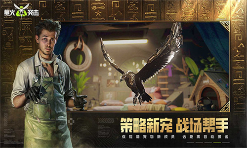 萤火突击2026图5