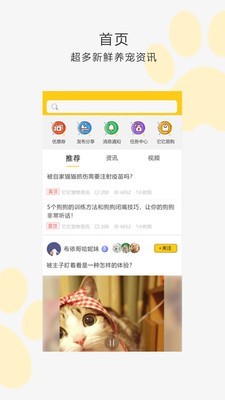 我爱它它(1)
