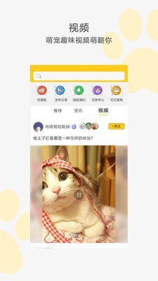 我爱它它(4)