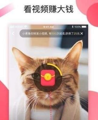 抖淘短视频安卓官方版图1