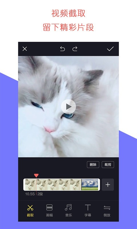 石虎牛播正版图2