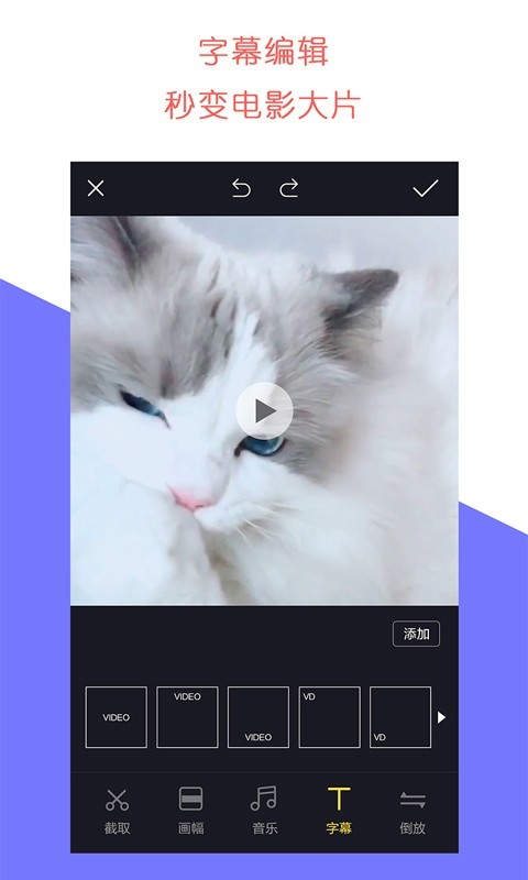 石虎牛播正版图4