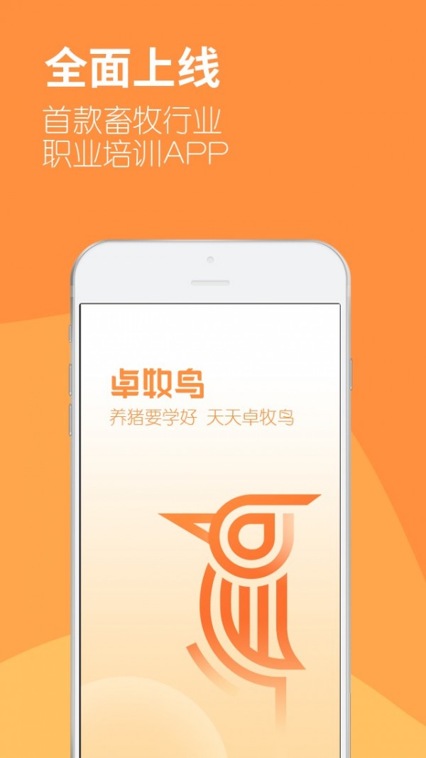 卓牧鸟直装版图5