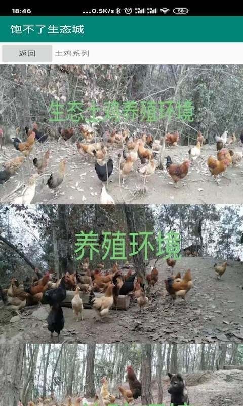 饱不了