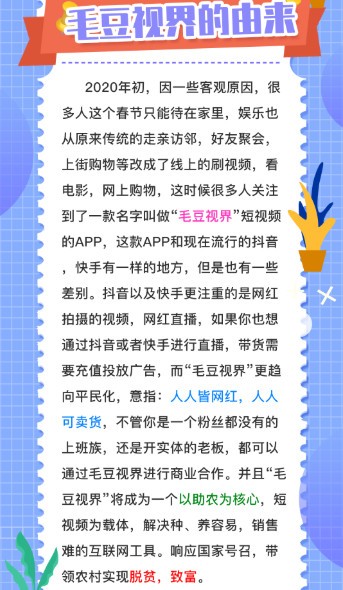 毛豆视界(3)