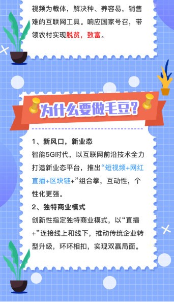 毛豆视界(4)
