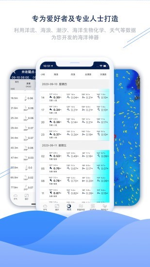 流浪潮汐手机版图1