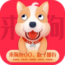 来狗正版