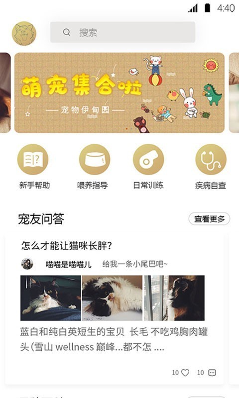 宠物伊甸园直装版