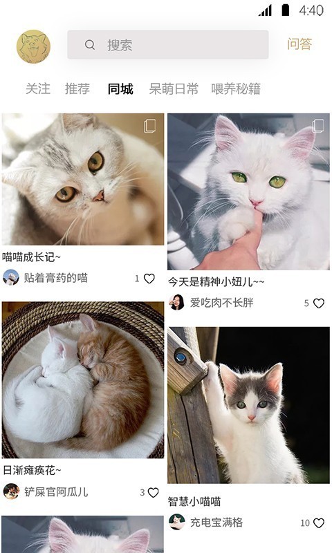 宠物伊甸园直装版