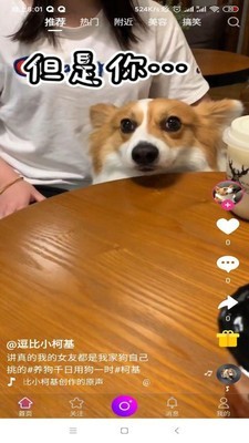 宠物秀秀官方正版