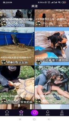 宠物秀秀官方正版