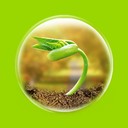 一路健康正版 v6.2.3