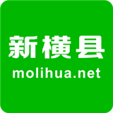 横县网官方正版