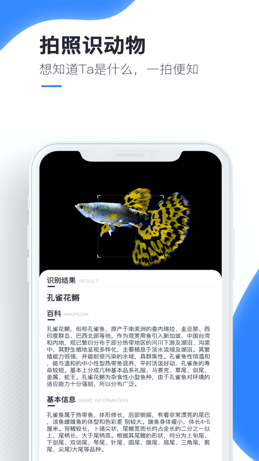 百科扫描王安卓直装版