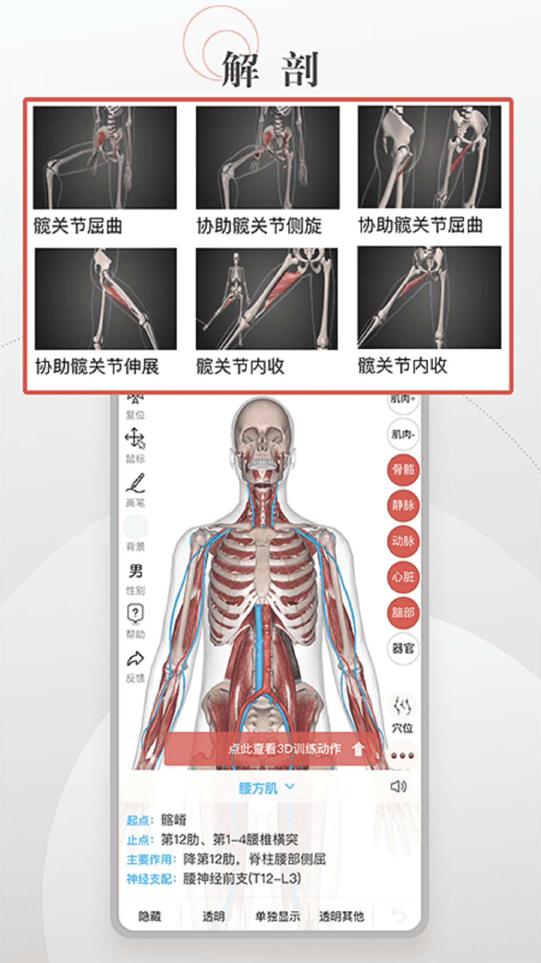 3D运动健康图2