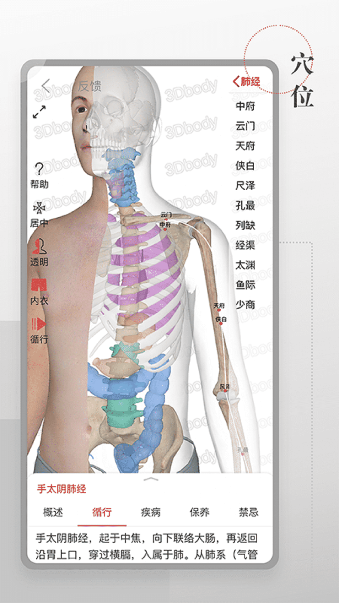 3D运动健康图4