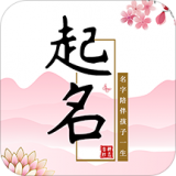玖安取名起名软件最新版