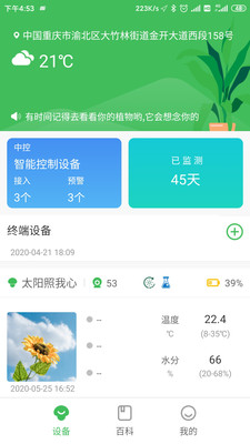 森林甜心官方正版图1