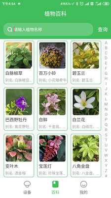 森林甜心官方正版图4