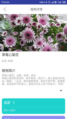 森林甜心官方正版图5