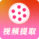 去水印视频解析通用版
