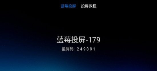 蓝莓投屏安卓版图1