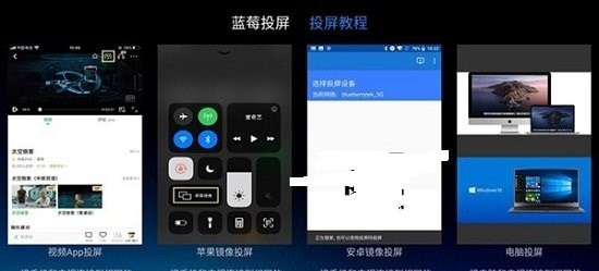 蓝莓投屏安卓版图3